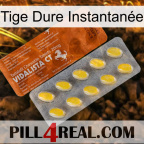 Tige Dure Instantanée 42